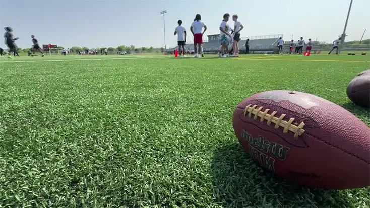 shock pad for grass turf